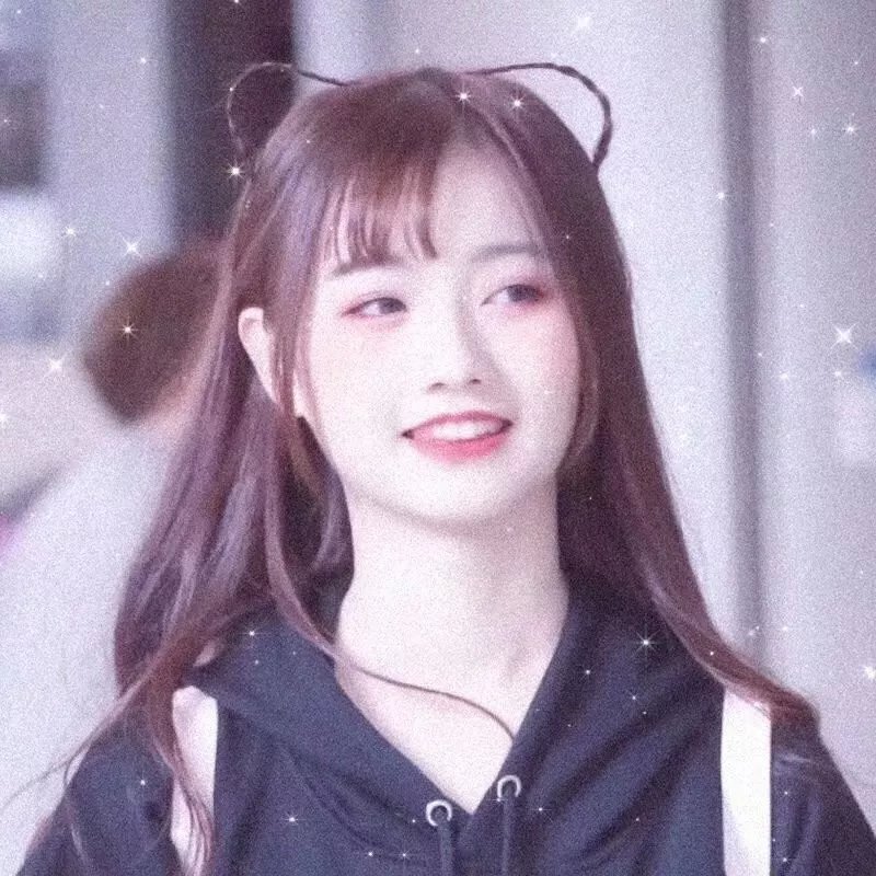 成凰录
