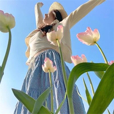 奇枪怪侠