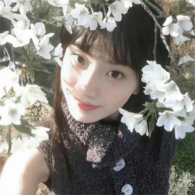老虎连